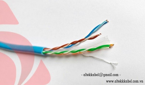 Altek Kabel Cat6 Cu Network Cable