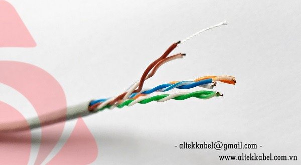 Altek Kabel Cat5e Cu Network Cable